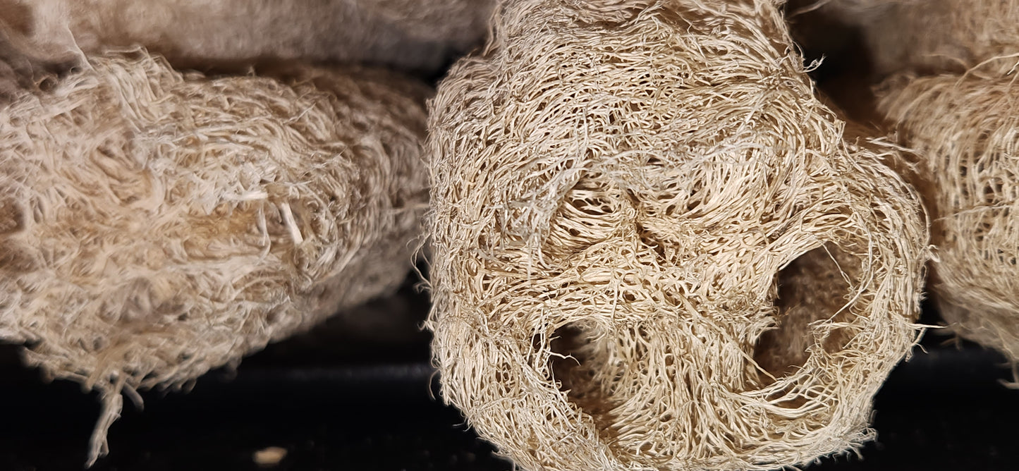 Natural Loofah Bundle