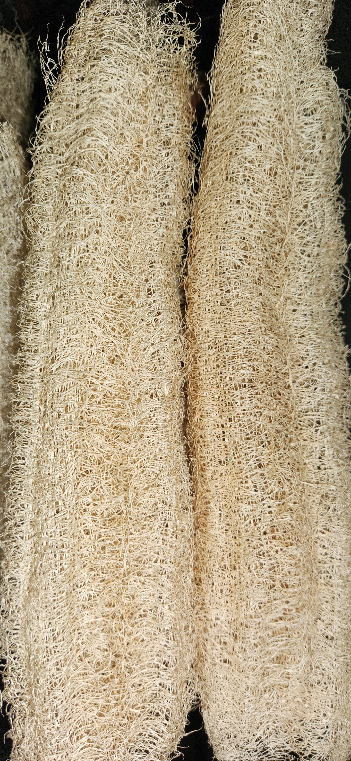 Natural Loofah Bundle