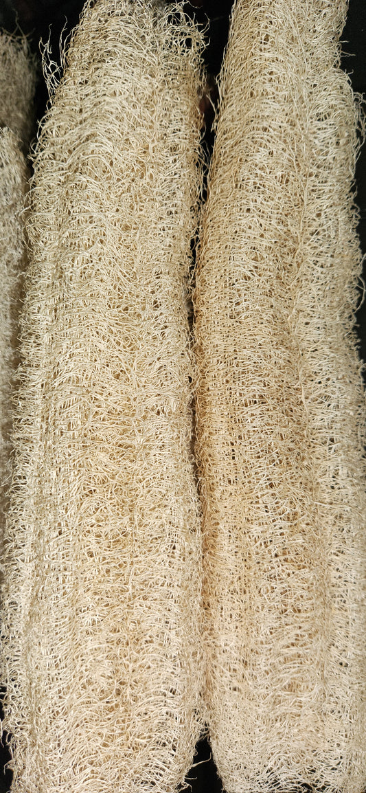 🌿 Natural Homegrown Loofah Sponge