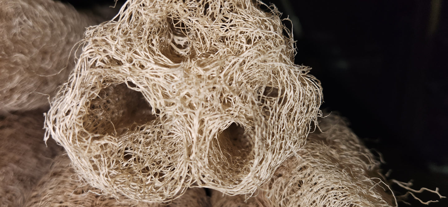 Natural Loofah Bundle