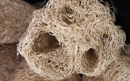 🌿 Natural Homegrown Loofah Sponge
