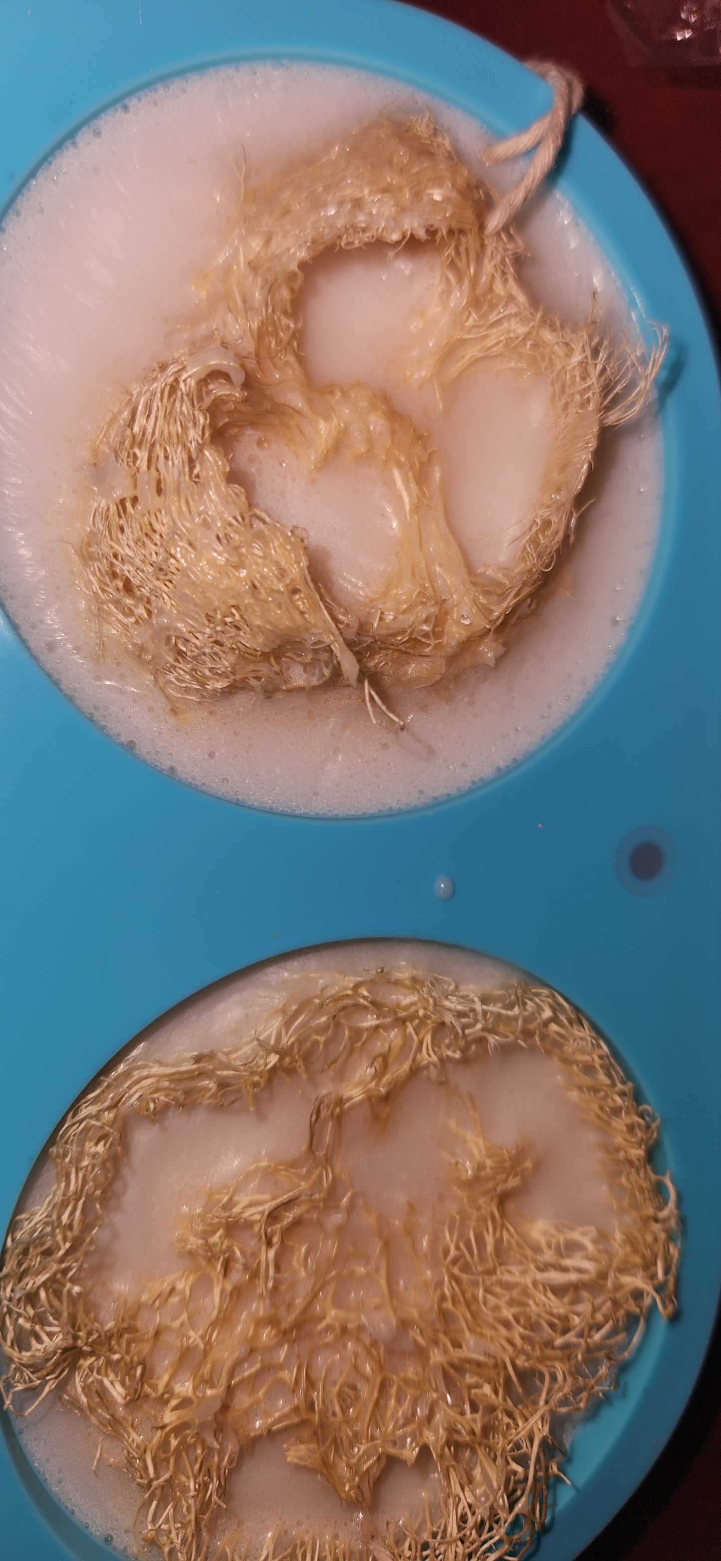 Vanilla Santal Loofah Rope Bar